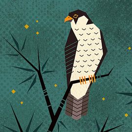 Géométrie de la série Bird Falcon sur Rohan Dahotre