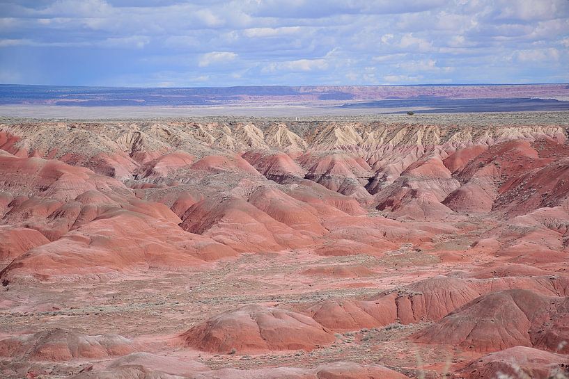 Tawa uitzichtspunt van Frank's Awesome Travels