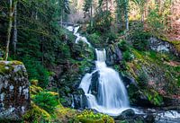 Triberg waterfalls