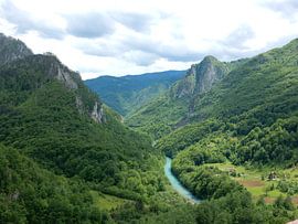 Montenegro van bert jorritsma