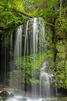 Waterval in het Elbezandsteengebergte