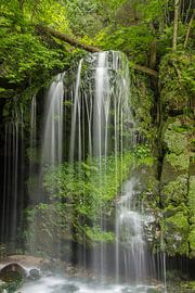 Waterval in het Elbezandsteengebergte van Heiko Lehmann
