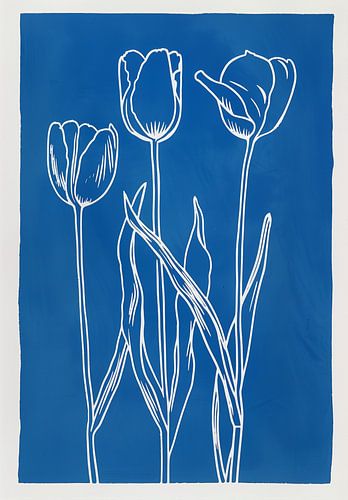 Blauwe Tulpen