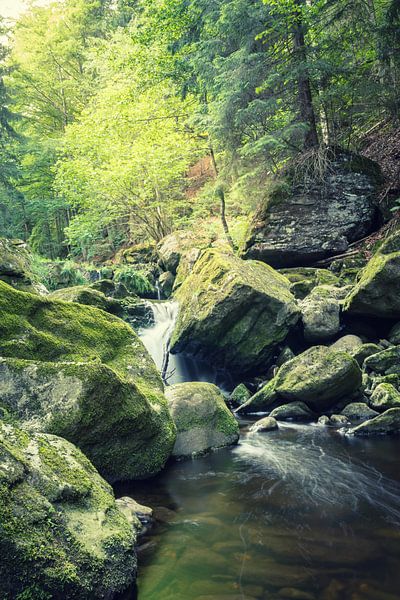 Die wilde Klamm im Bayerwald von Tobias Luxberg