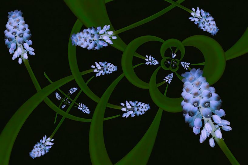 raisins bleus dans la lumière noire par Klaartje Majoor