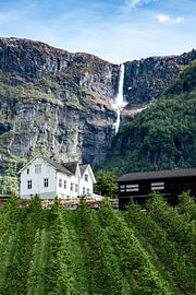 Beautiful place to live by Sander Strijdhorst