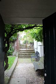 Thorn by Rieky Mooren