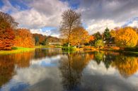 Herfst in Park Rosendael von Rob Kints Miniaturansicht