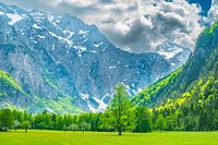 Alps mountains landscape in the Logar Valley during springtime