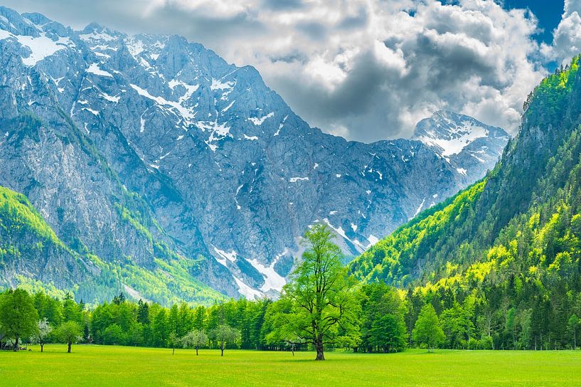 Alpengebirgslandschaft im Logar-Tal im Frühling von Sjoerd van der Wal Fotografie
