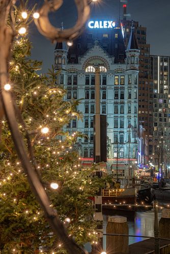 Witte Huis Rotterdam