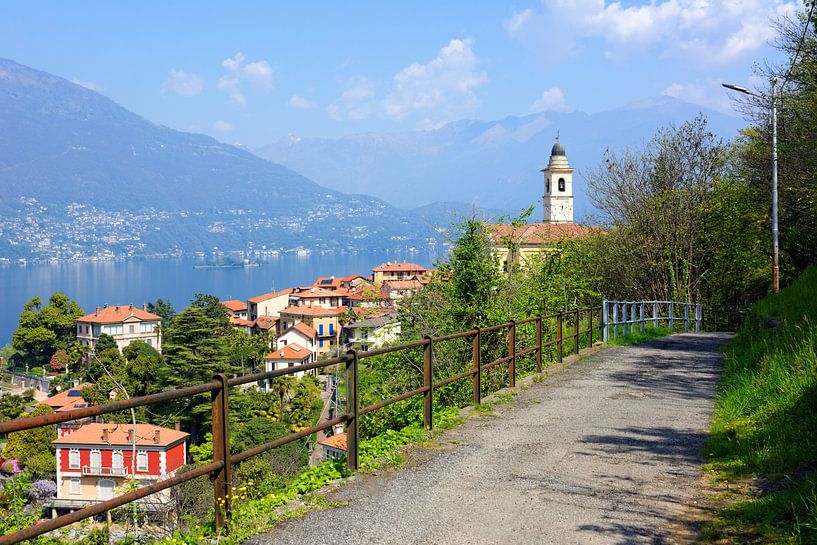 Pino sulla Sponda del Lago Maggiore I von Gisela Scheffbuch