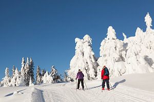 Skieurs de fond sur la piste près de Lillehammer
