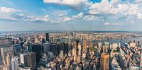Skyline van New York City , VS