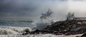 Le pêcheur inébranlable