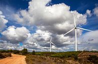 Windmühlen in Portugal von Jacqueline Lemmens Miniaturansicht