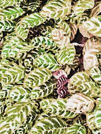 Watercolors garden by FRESH Fine Art