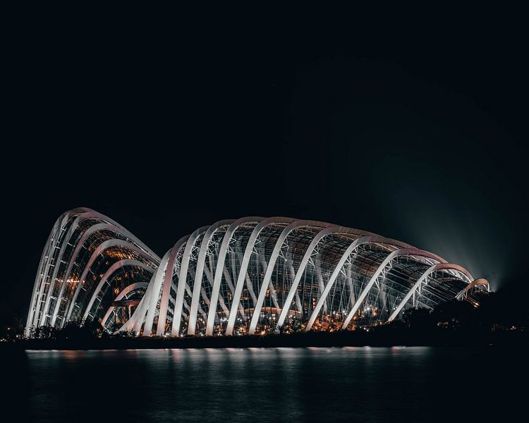 Singapore by Hello Pompoyo