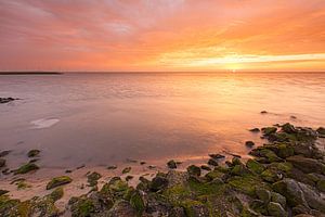 Zonsopkomst bij de Punt van Reide