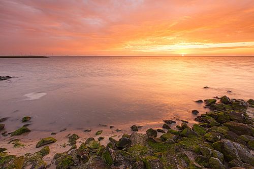 Zonsopkomst bij de Punt van Reide