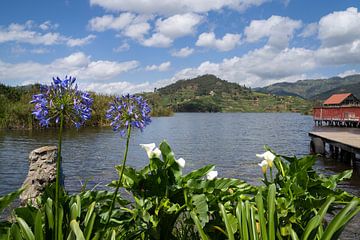 Bunyonyi Meer, Oeganda, Afrika van Alexander Ludwig