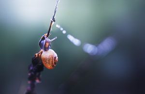 Der Reisende III