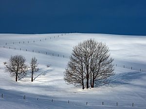 Winterstimmung