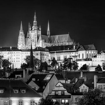 De Praagse Burcht en de Sint-Vituskathedraal bij nacht - monochroom