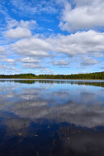 Reflectie op het meer in de herfst