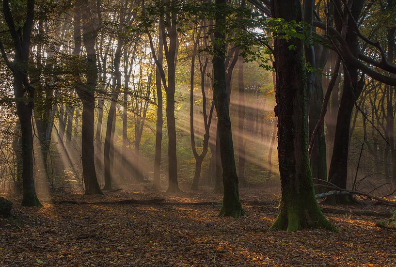 Ladder to heaven by Sebastiaan van Baar