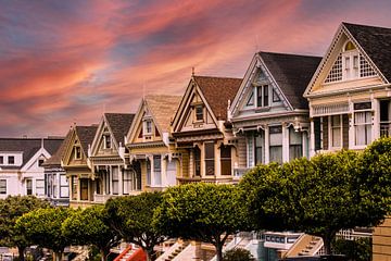 Painted Ladies am Alamo Square in San Francisco bei Sonnenuntergang von Dieter Walther