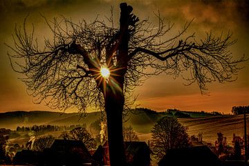 Der Baum vor dem Dorf bei Sonnenaufgang von Johnny Flash