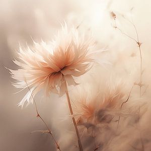 Blumen in sanftem Licht: Eine zarte Einladung zur Stille