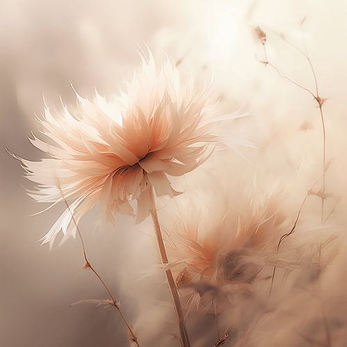 Flowers in Soft Light: A Delicate Invitation to Stillness