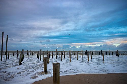 Palendorp strand Petten aan zee, Nederland