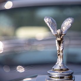 Rolls Royce - Spirit of Ecstasy - voiture de collection sur T de Smit