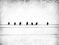 sheet music, jeffrey hummel