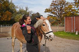 Preparation of the horse before training