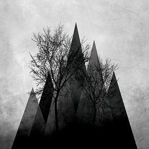 TREES VI