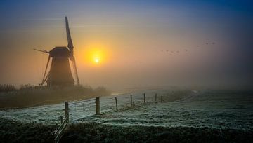 Dutch Windmill Garrelsweer von Edwart Visser