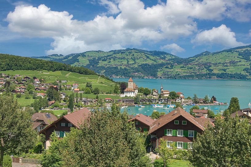Spiez am Thunersee von Peter Eckert