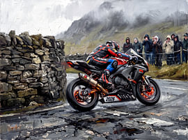 Suzuki GSX-R in der „Wet Bend“-Kurve bei der Isle of Man TT von Jan Keteleer