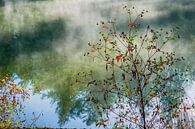 Autumn | Twickel Delden (3) van Rob van der Pijll thumbnail