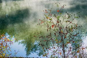 Autumn | Twickel Delden (3)