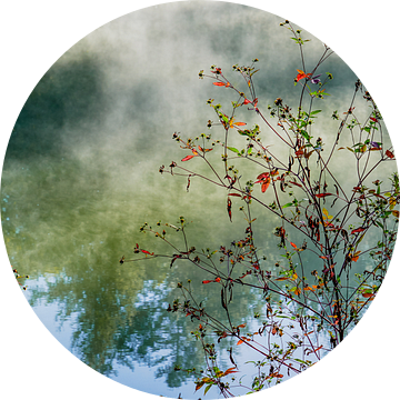 Autumn | Twickel Delden (3) van Rob van der Pijll