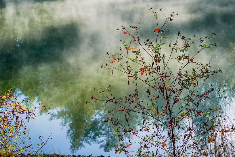 Autumn | Twickel Delden (3) par Rob van der Pijll