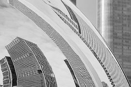 Chicago Skyline. van Rick Nederstigt