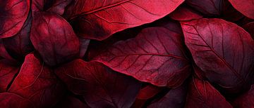 Rote Blätter im Detail – Naturtextur von Poster Art Shop