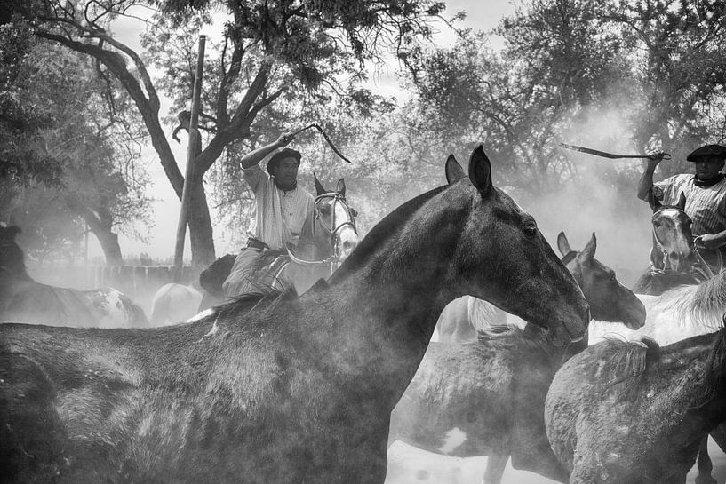 Gauchos und Pferde von Eric Verdaasdonk
