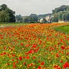 Feldblumenstrauß entlang der Straße zum Château Neercanne von John Kreukniet